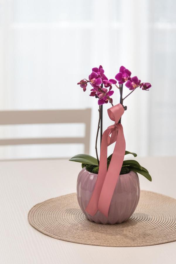 Relax Ciampino - By Good Time Apartments Zewnętrze zdjęcie